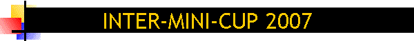 INTER-MINI-CUP 2007