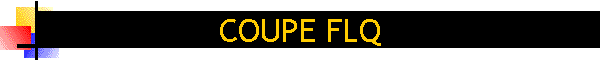 COUPE FLQ